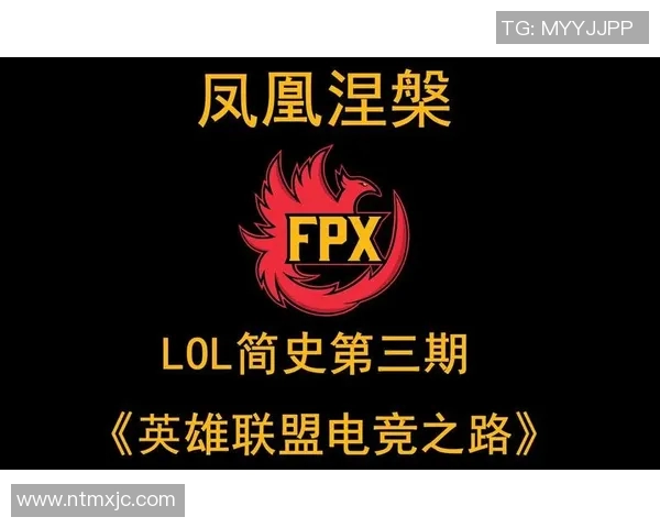 吴丽回顾英雄联盟职业生涯的成长与挑战之路